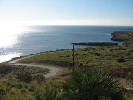 ISOLIDDA