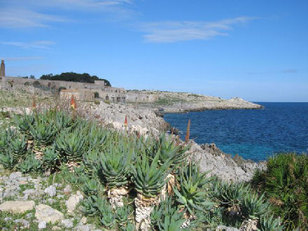 L’ancien Tonnara de San Vito lo Capo