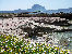 Le mer de San Vito Lo Capo