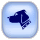 Animals Permit